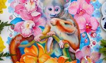 属猴2017年运势及运程 属猴人2017年每月运势