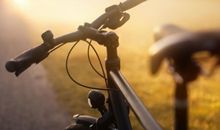 最理性的生肖排行