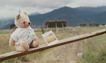 曼陀罗华一周星座运势（5.15-5.21）