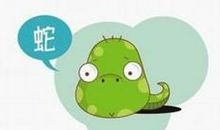 蛇女的婚配属相