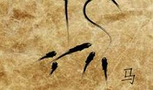 属马人的姻缘婚配