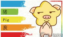 2018年属猪2月运程解析