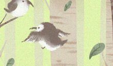 属蛇天秤座的性格