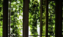 李居明2017鸡年生肖蛇运势