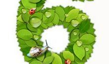 生命灵数6号人的五月运势