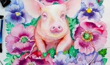 属猪2017年运势及运程 属猪人2017年每月运势