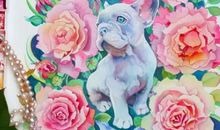 属狗2017年运势及运程 属狗人2017年每月运势