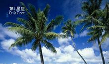 天秤座夏日开运法旅游