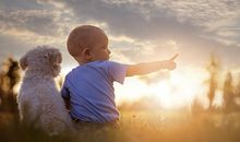 姓丰的好听的男孩名字