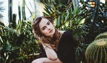 属牛人的爱情弱点