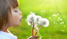 姓聂女孩100分名字大全