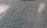 天秤座最讨厌什么星座