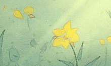 属马天秤座女生性格特点