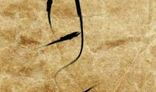 属狗人的姻缘婚配