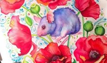 属鼠2017年运势及运程 属鼠人2017年每月运势