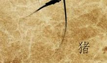 属猪人的姻缘婚配