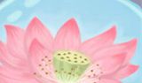 天秤座应该如何发财[图]