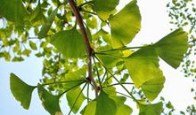 从生日数看财运