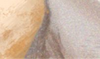 天秤座女生最容易被哪类女生抢走恋人