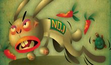 生肖兔取名宜忌