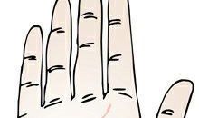 最详细的智慧线图解