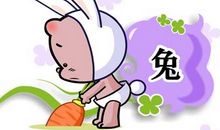 2017年属兔人5月运程解析