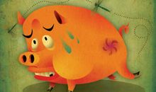 生肖猪取名宜忌