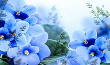 夏季运势最好一帆风顺的星座