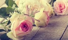 竹猫星球本周星座运势（2016.3.28-4.3）