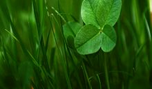 玉宸七政四余本周星座运势(7.10~7.16)