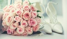 海百合本周星座运势（2017.5.29-6.4）