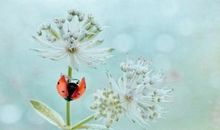 叛逆因子强烈的人