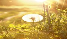 山水清澈本周星座运势（2017.5.28-6.3）