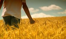 海百合本周星座运势（2018.3.5-3.11）