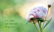 佩妮本周星座运势（2018.2.26-3.4）