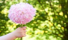 狂月本周星座运势（2017.7.24-7.30）