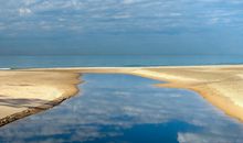 姚易君大师 属虎人2015年运势