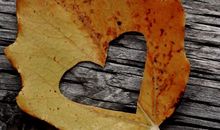 姚易君大师 属羊人2015年运势