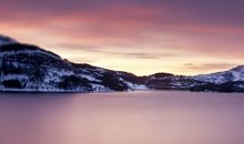 姚易君大师 属猪人2015年运势