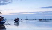 姚易君大师 属狗人2015年运势