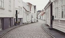 属鸡最佳住房楼层和风水方位