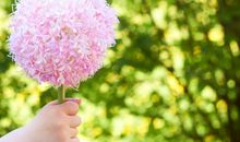 佩妮12星座一周运势（2018.7.2-7.8）