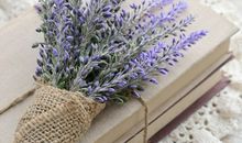 海百合本周星座运势（2017.7.3-7.9）