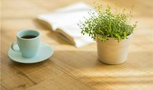 玉宸七政四余一周星座运势(07.10--07.16)