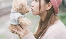 十二生肖中旺运又招财的四个生肖