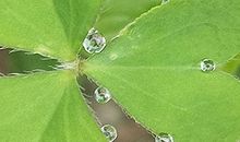 神叨酱塔牌测试4.28日运