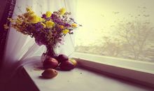 狂月本周星座运势（2017.10.2-10.8）