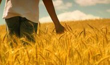 Victor塔罗今日星座运势(2017.5.5)