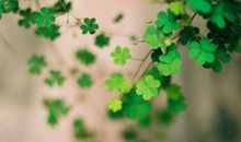 箬耶一周星座运势（9.11—9.17）