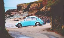 属鼠车牌号码吉凶数字